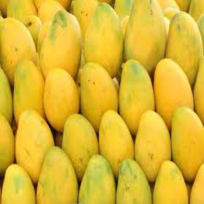 Оптовая продажа, свежий манго Alphonso для продажи