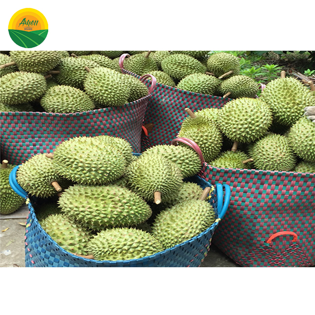 DURIAN GRADE 1 - HIGH QUALITY FROM VIET NAM