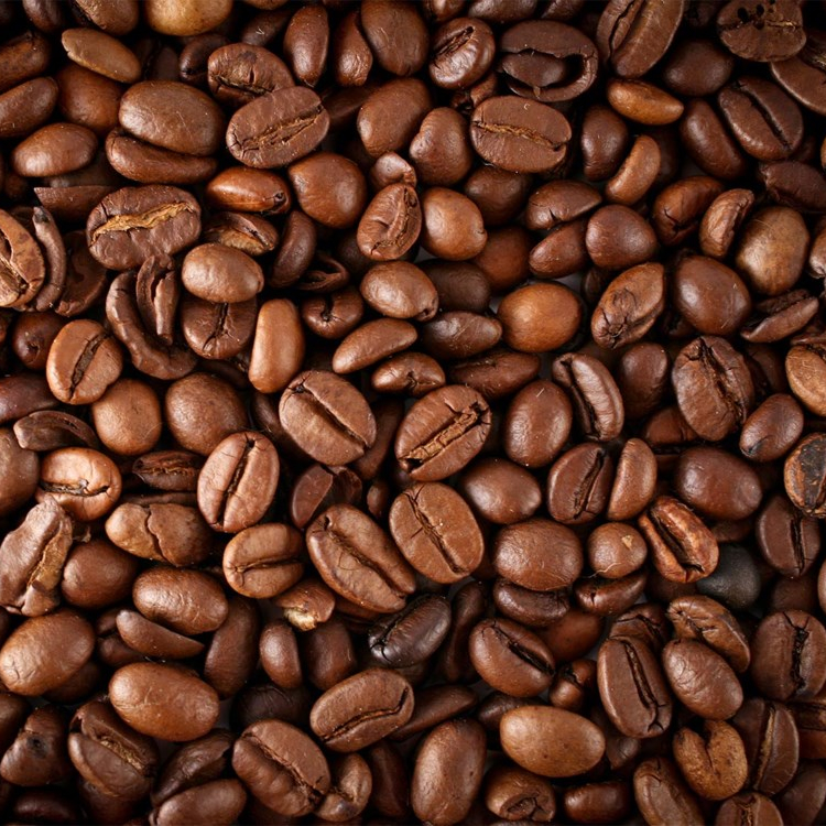 Robusta Coffee Green Beans Vietnam