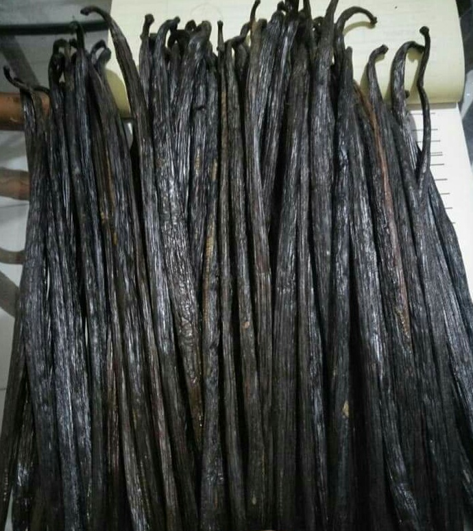 High Quality Tahitian Vanilla Beans from Indonesia Export Quality Direct Supplier Best Price Available