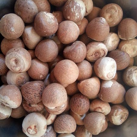 Орехи Betel