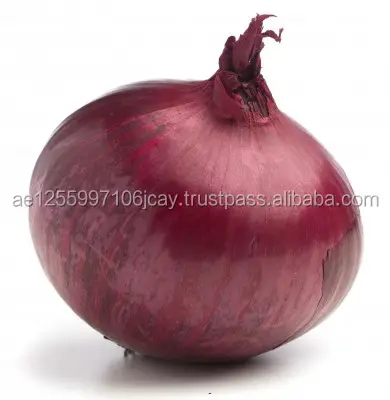Лук