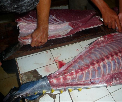 Biggest Sale of Bones Tuna