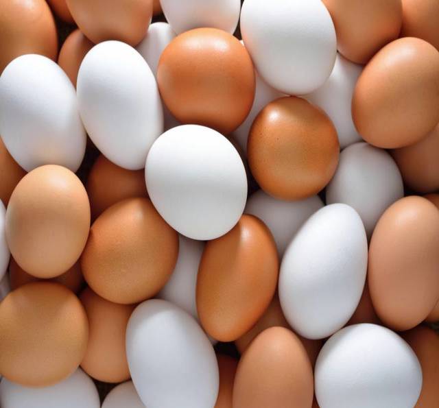 Farm Fresh Shell Egg at Cheap Price