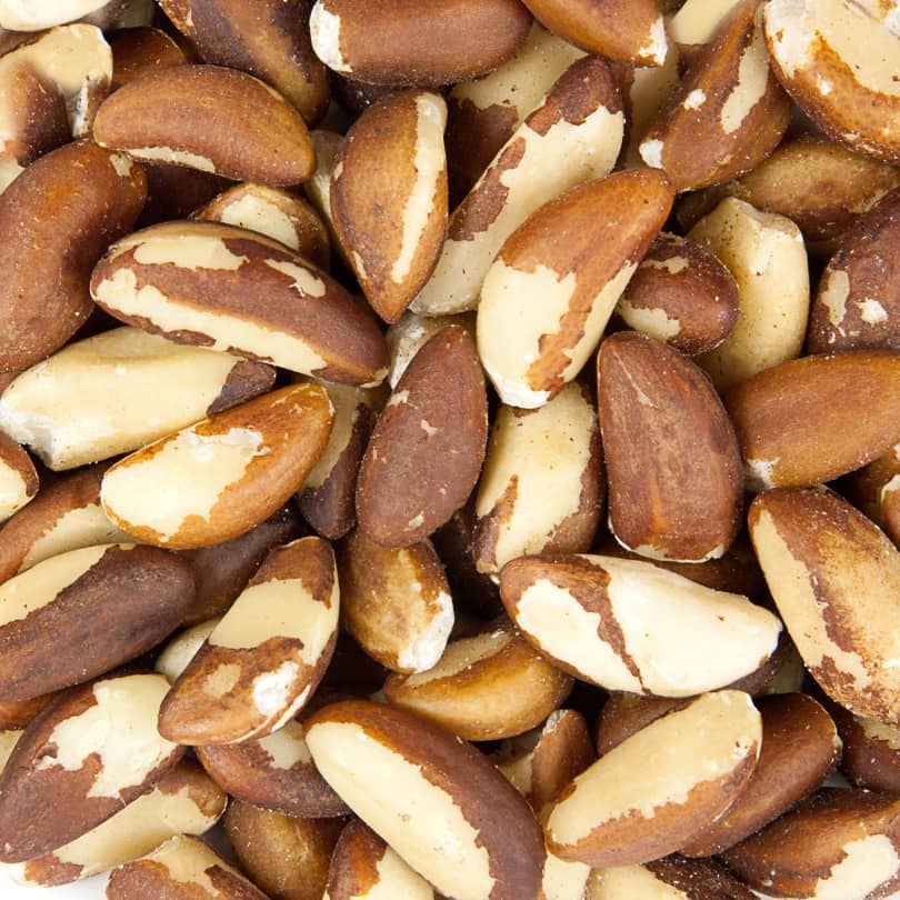 Pure Natural Peru High Quality Brazil Nuts Wholesale