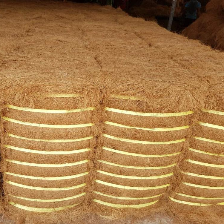 Лучшее качество Coir волокно растет средний из Шри-Ланки