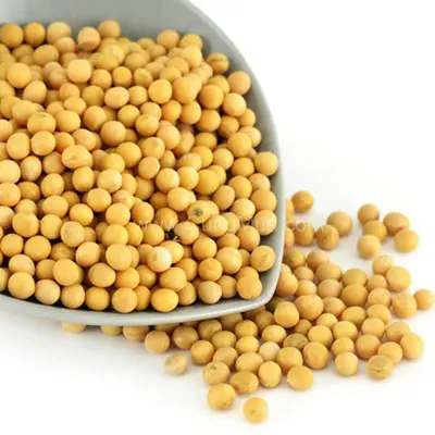 SBDM Soybean  With High Quality and Hot Discount for Large Quantity Orders From Duy Minh Vietnam