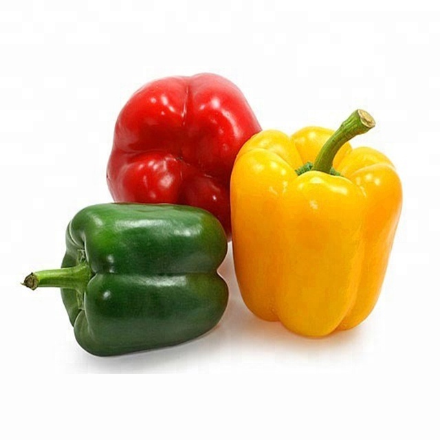 Fresh Capsicum / Quality Fresh Capsicum / Bell Peppers Capsicum