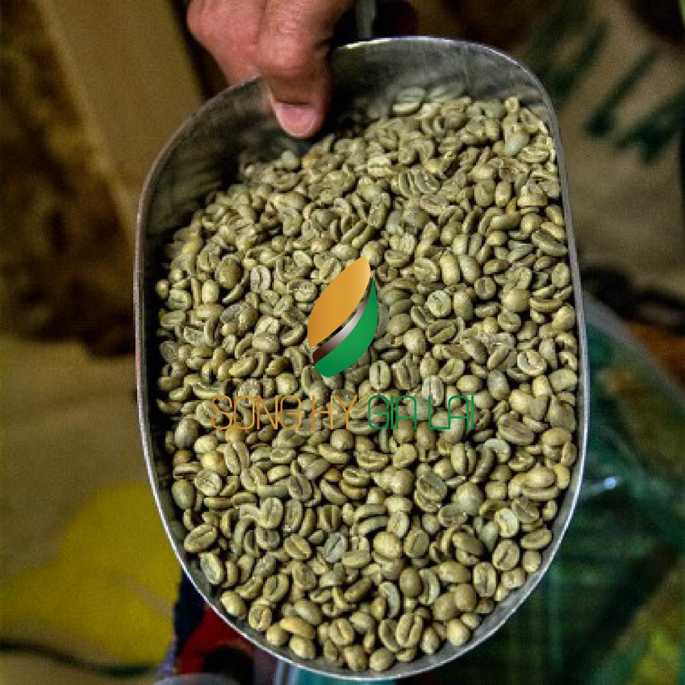 Кофе с сухими потертостями ROBUSTA по лучшей цене от вьетнамского происхождения