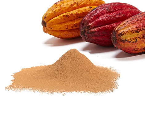 High Quality Wholesale Organic Cacao Powder