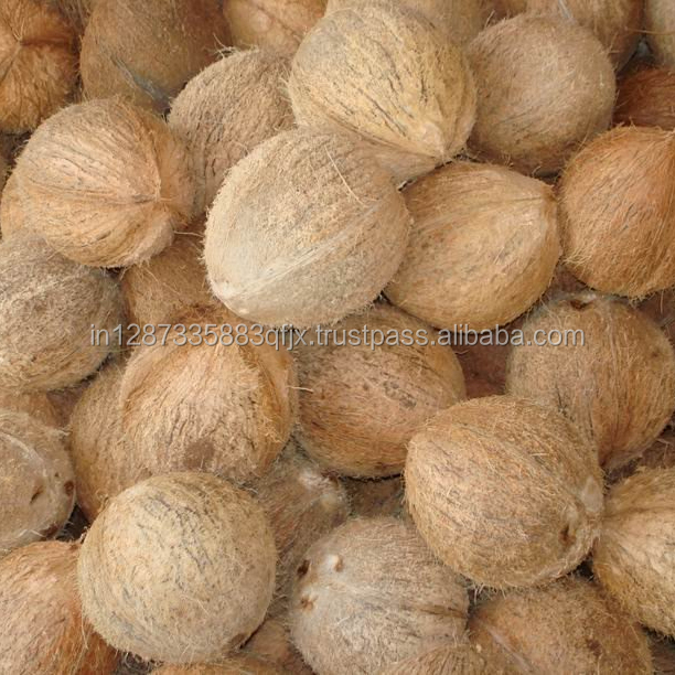 Best Quality Indian Fresh Semi Husked Coconut