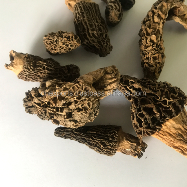 Сушеные морели (Morchella Conica), грибы