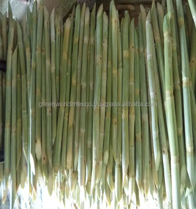 Лучшая низкая цена, высокое качество, свежий сахарный тростник-лучший экспортный продукт