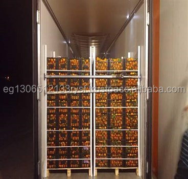 FRESH ORANGE FOR SALE FROM EGYPT GRADE A