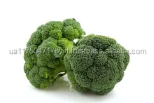 Wholesale low price high quality fresh frozen broccoli
