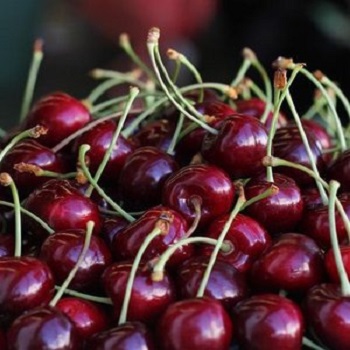 Свежие сладкие вишни на продажу