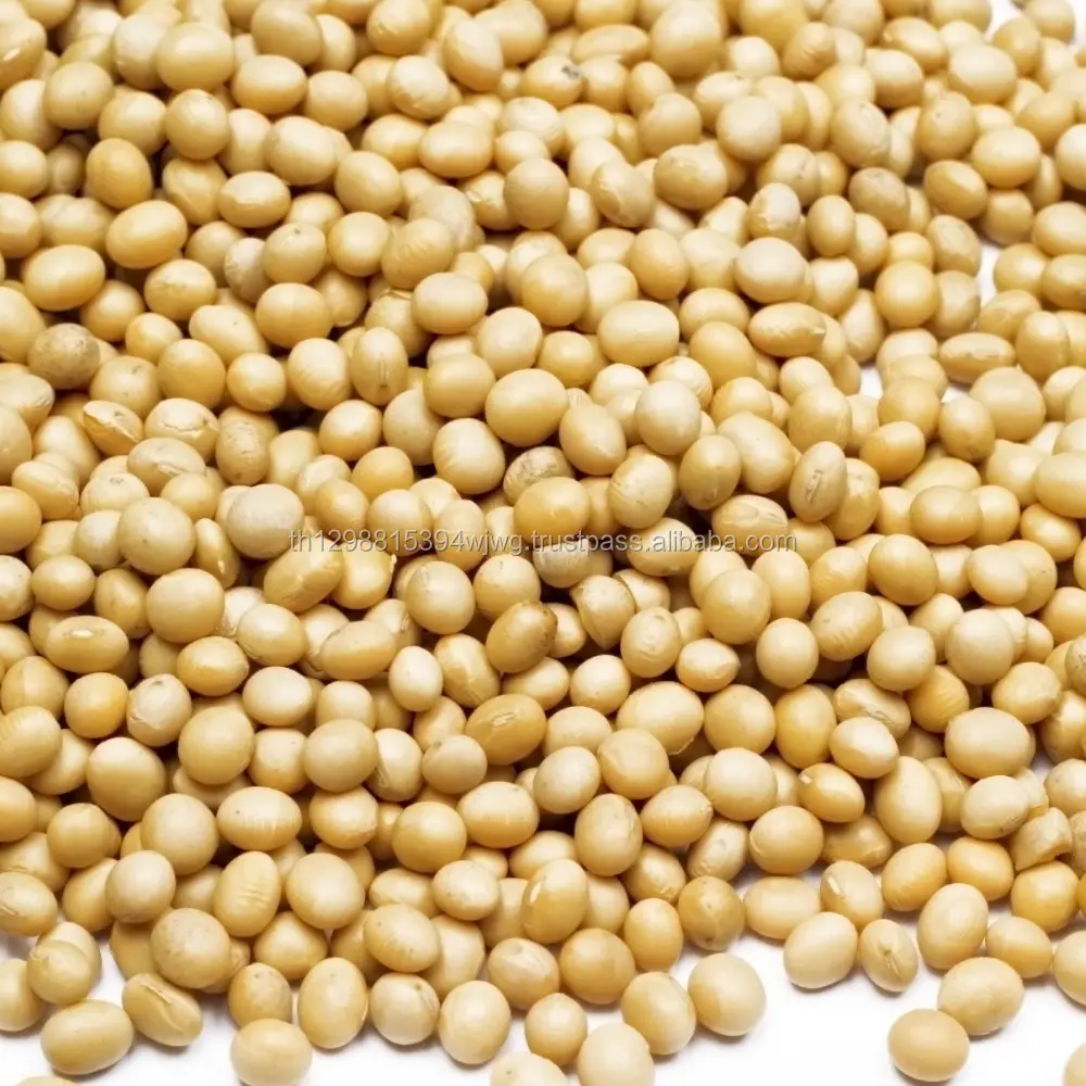 Wholesale Chinese Dried GMO/non-GMO Soybeans a Leading Supplier