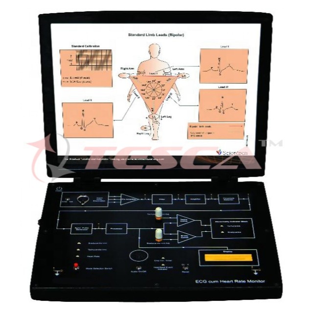 Heart Rate cum ECG Monitor Trainer