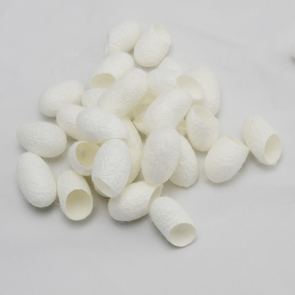 Silk Cocoon 100% natural from Vietnam with competitive price and best quality