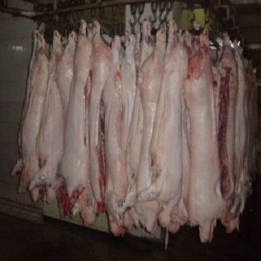 Frozen boneless rabbit meat