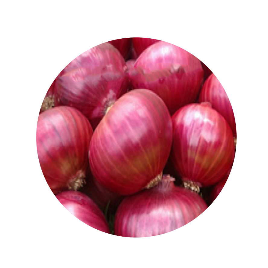 New Arrival Best Quality Fresh Red Onion Natural Fresh Onion Available At Affordable Price