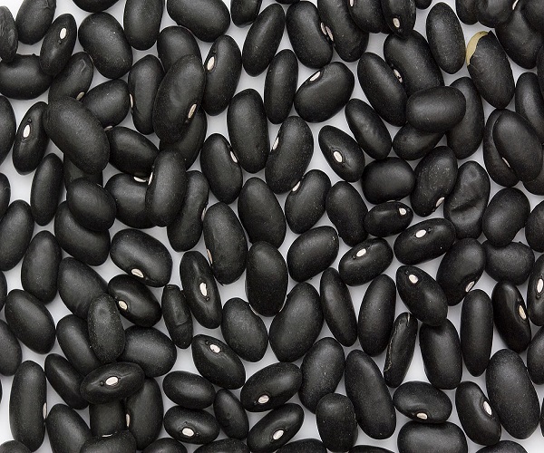 Lowest price Dried Bulk black kidney beans