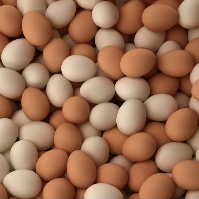 Fresh Chicken Eggs Brown and White