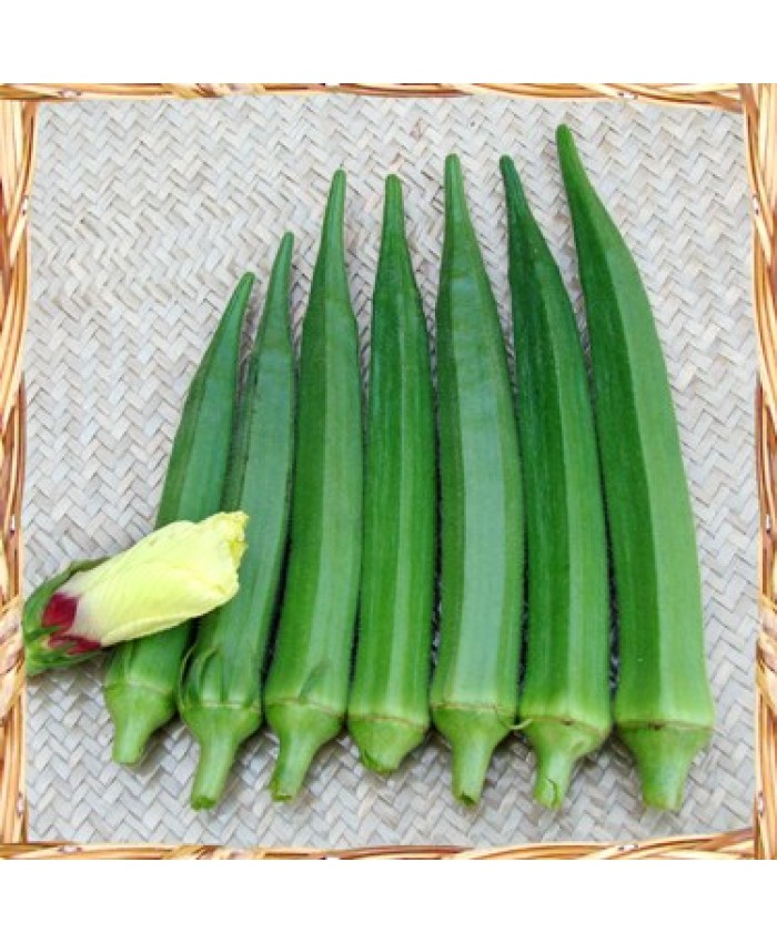 Семена 1x F1 Okra