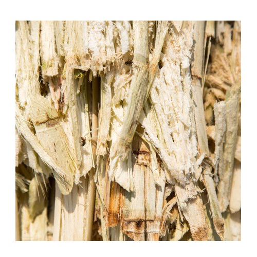 Sugarcane bagasse прессованный блок-янтарь + 84 925369653