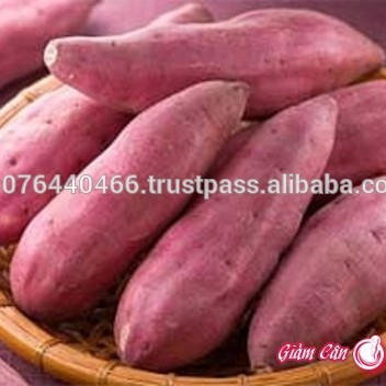 VIETNAM SWEET POTATO (Japanese potato)