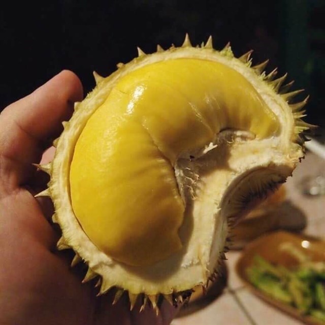 MONTHONG DURIAN, очень высокое качество и Лучшая цена