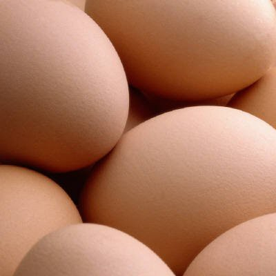 Свежие яйца птицы (белый/коричневый) доступны в L, XL, больших размерах