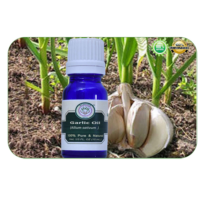 ISO Certified Garlic oil / Essential Carlic Oil
