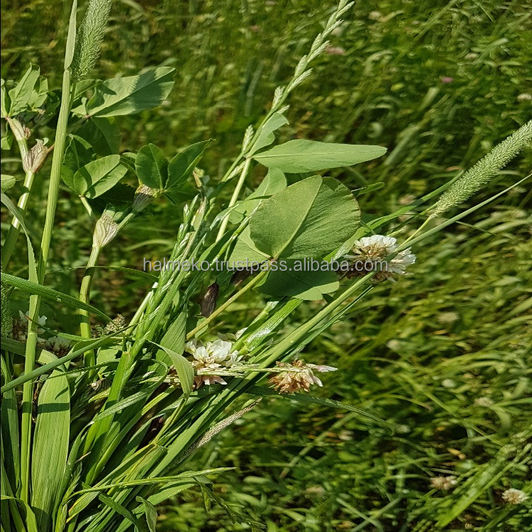 Высококачественные кормовые гранулы для коров от производителя grass mix, сушеные