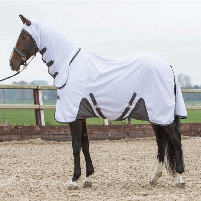High Quality Mesh Horse Fly sheet NEW Mesh Horse Summer Rugs fancy Fly Mesh Horse Sheet
