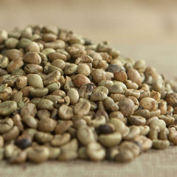 Зеленые кофейные зерна Robusta по заводской цене от Phalco vietnam 0084971054925