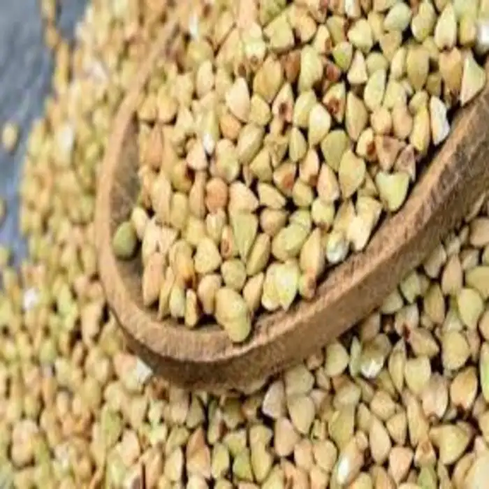 Wholesale Unroasted Buckwheat for sale