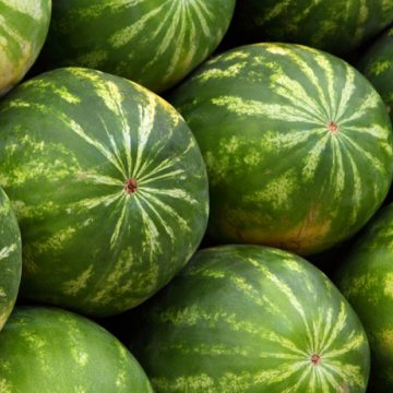 Фруктовый свежий арбуз от поставщика