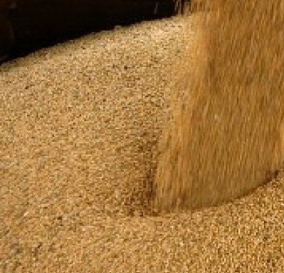 46% Protein Soybean Meal For Sale at Good Price