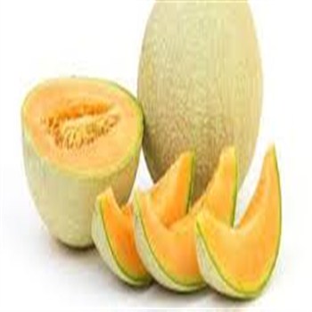 fresh sweet melon from khair egypt