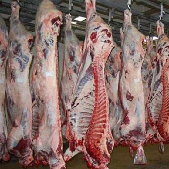 Халяль замороженные/охлажденные баранины и порезы на 30% скидка Продажа