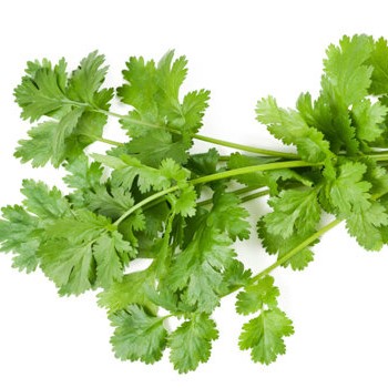 Сушеный тайский Кориандр (петрушка) 100% натуральный продукт из Таиланда