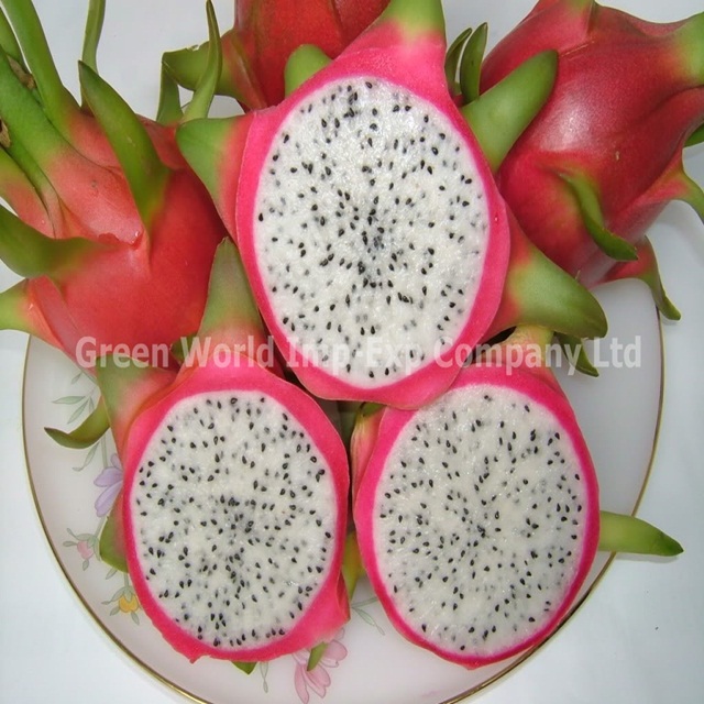 PREMIUM QUALITY FROZEN/ FRESH DRAGON FRUITS