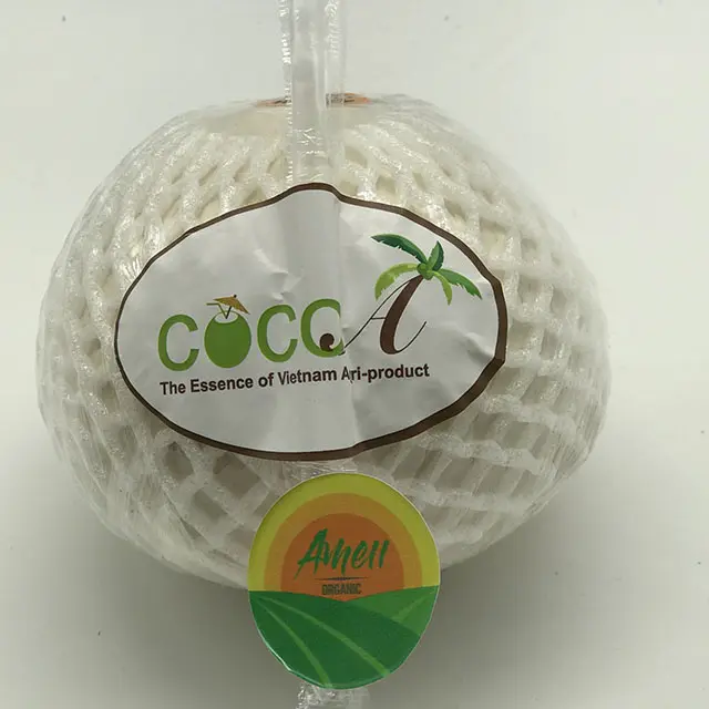 FRESH COCONUT WITH BEST PRICE