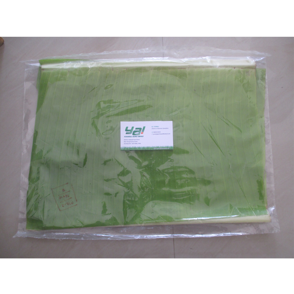 Fresh Banana Leaf Supplier / Manufacturer in Tamilnadu