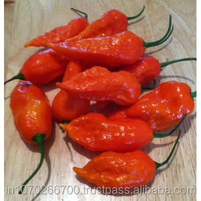 Bhut Jolokia порошок Духовка Сушеные