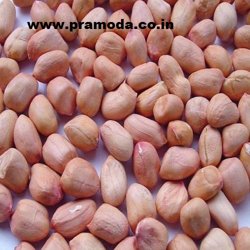 Арахис/groundnut