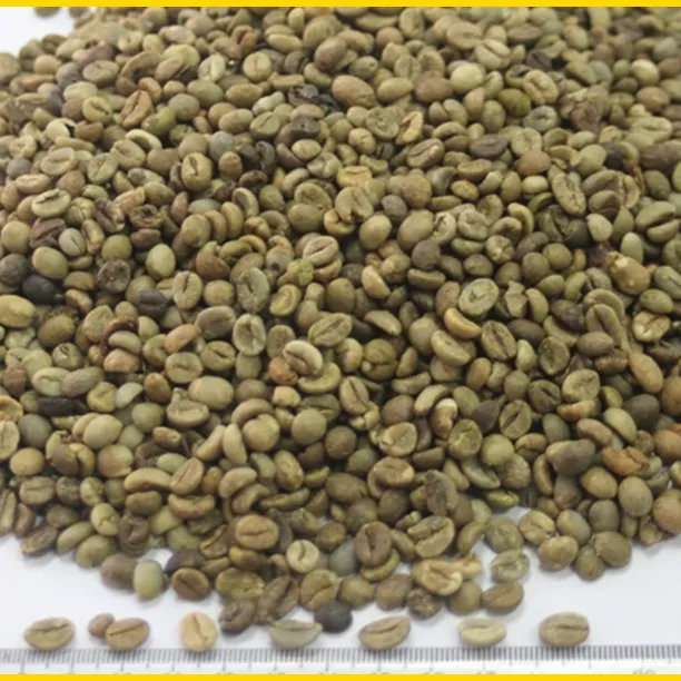 Vietnam Robusta Coffee Beans S13/S16/S18