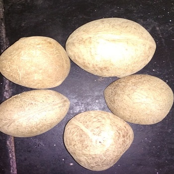 Сухой кокосовый копра