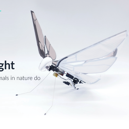 MetaFly-новый Летающий опыт